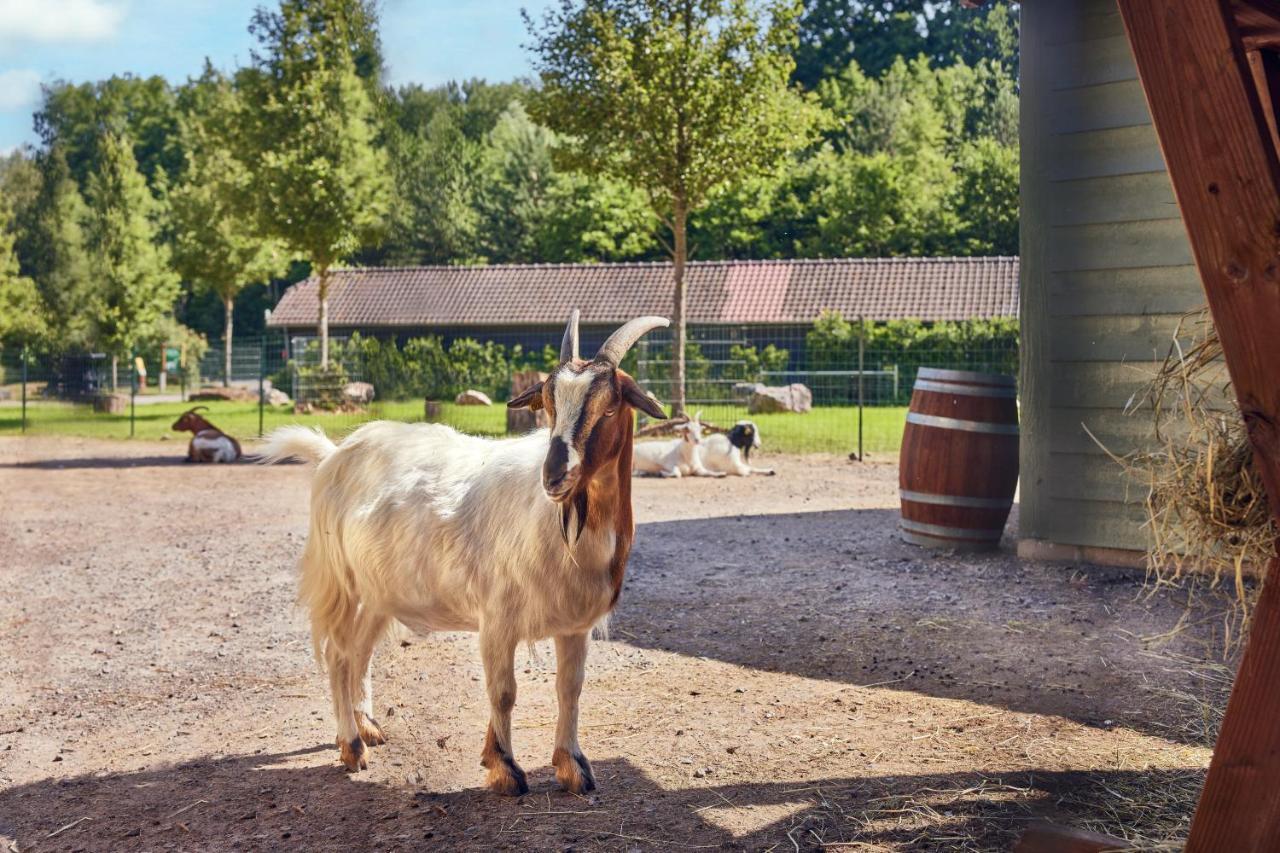 Center Parcs Le Lac D'Ailette ชามุย ภายนอก รูปภาพ